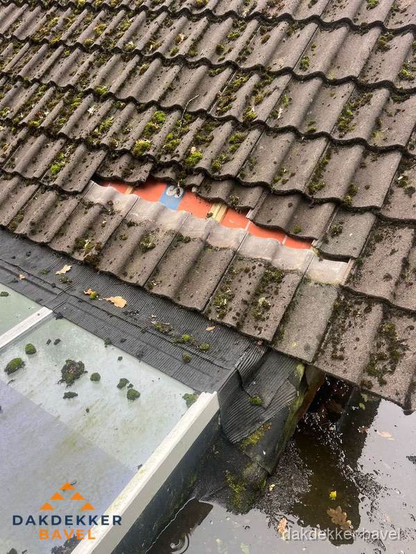 Beschadigd pannendak met ontbrekende dakpannen voor reparatie in Bavel Beschadigd pannendak met ontbrekende dakpannen voor reparatie in Bavel